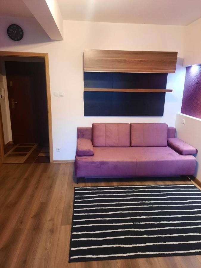 Maja Apartment 索波特 外观 照片